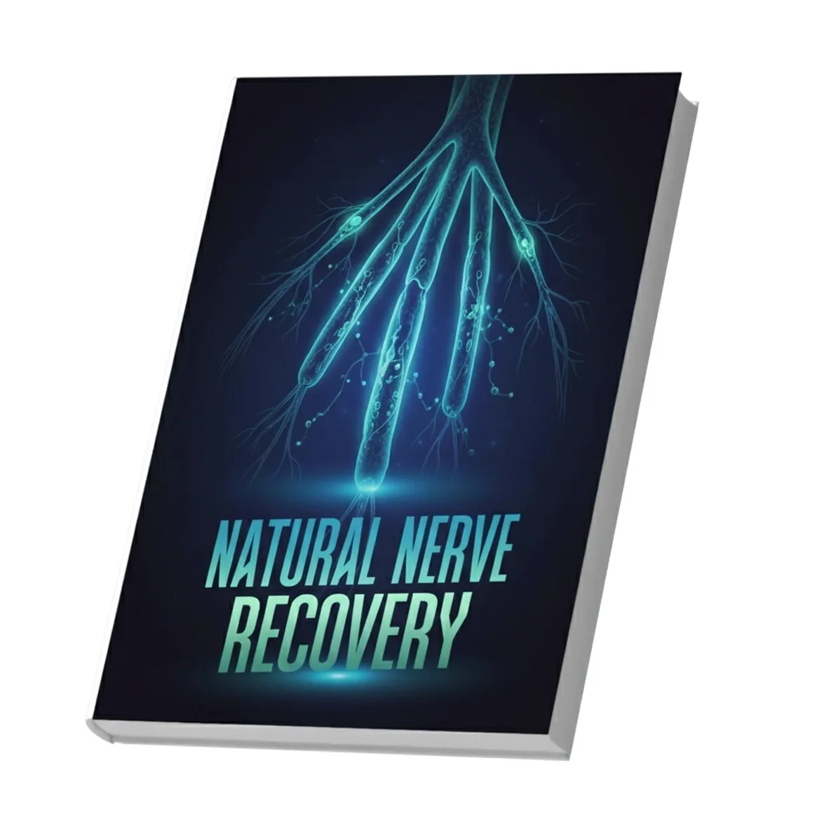 Natural Nerve Recovery Evening Guide